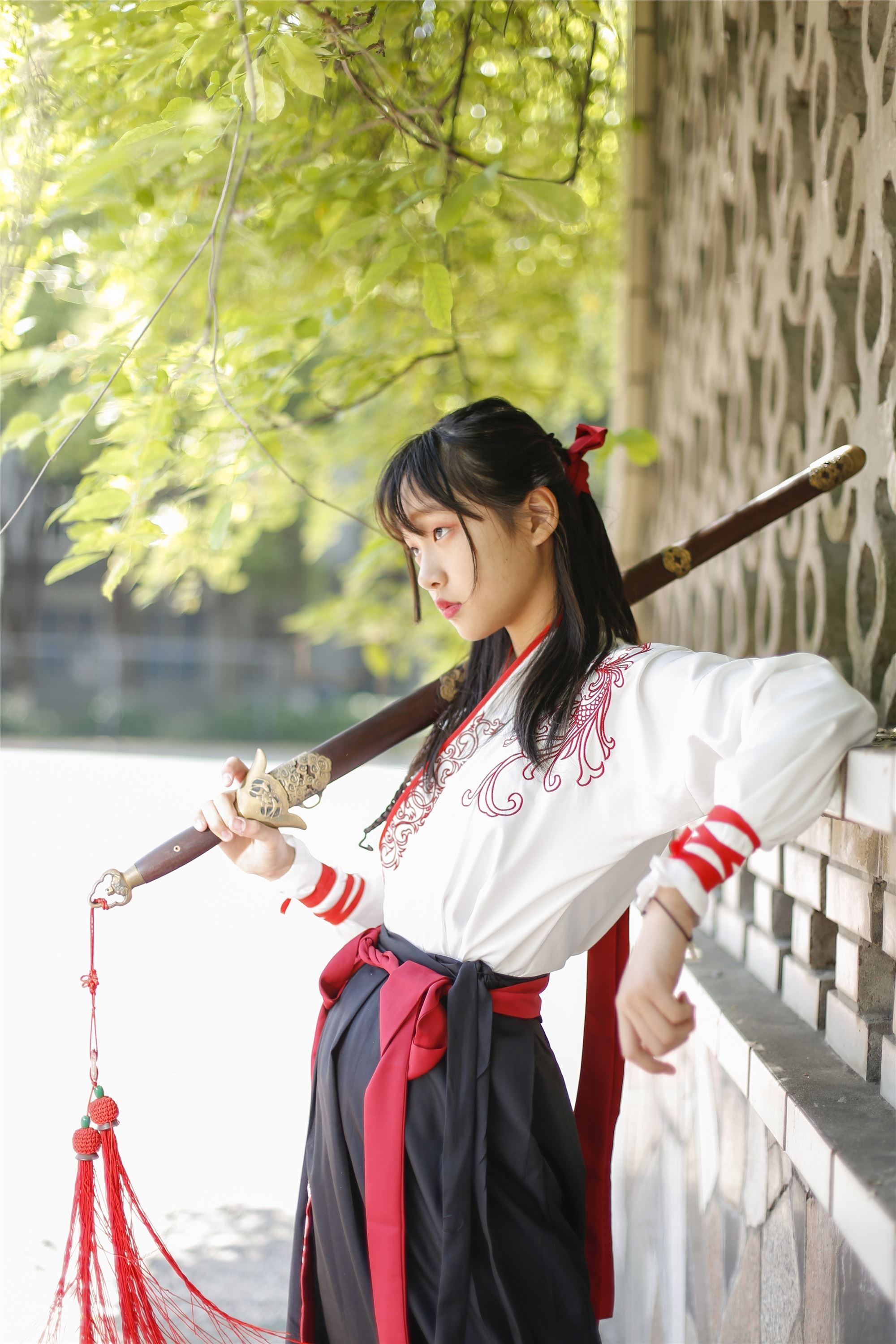 奈丝写真 NO.085 蛋白粉-汉服#侠骨柔情